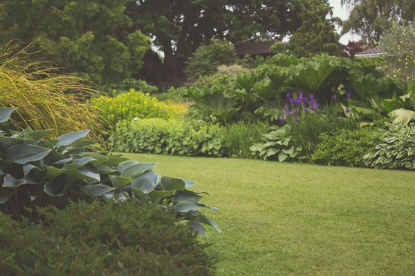 What inexpensive guided garden tours are available in rural Dorset?