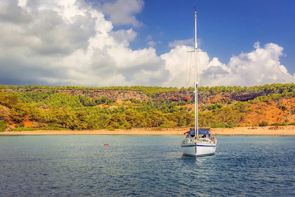 How to ensure a holiday rental in the Norfolk Broads offers boat rental services?